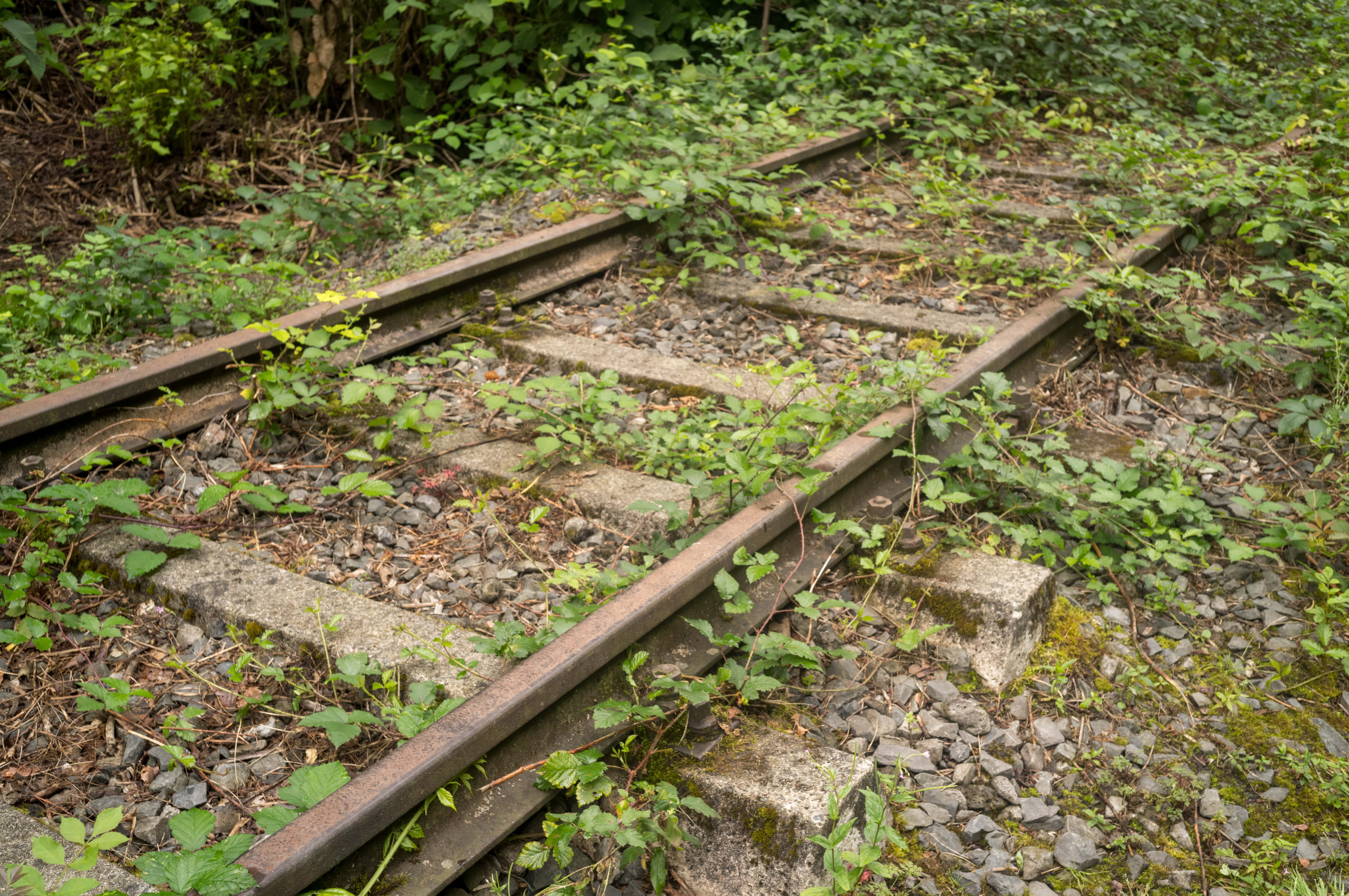 Disused Railway Line Walking Trails