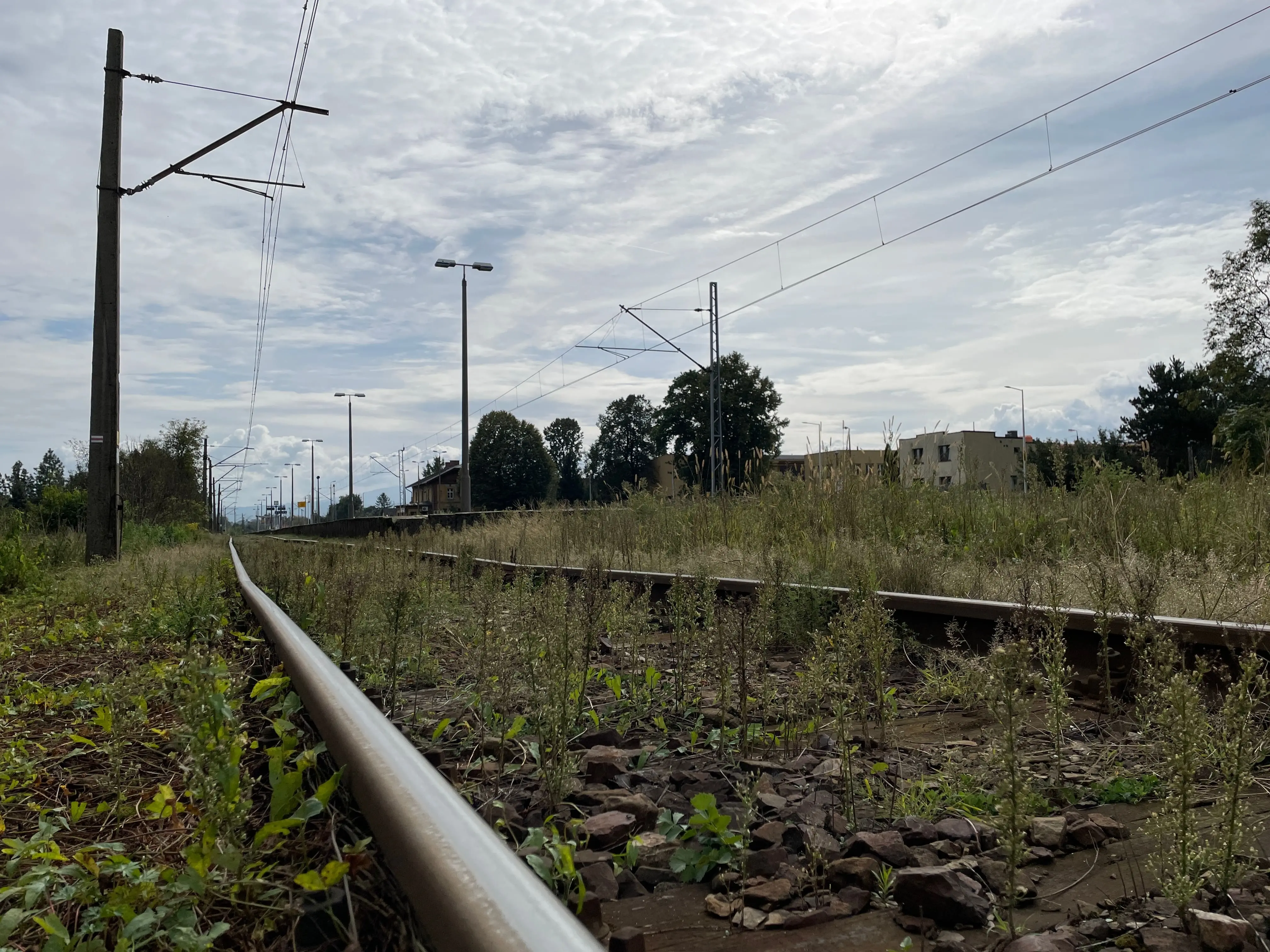 Disused Railway Lines: Low-angle view of an abandoned railway track with overgrown grass and weeds, surrounded by overhead power lines and distant buildings under a cloudy sky