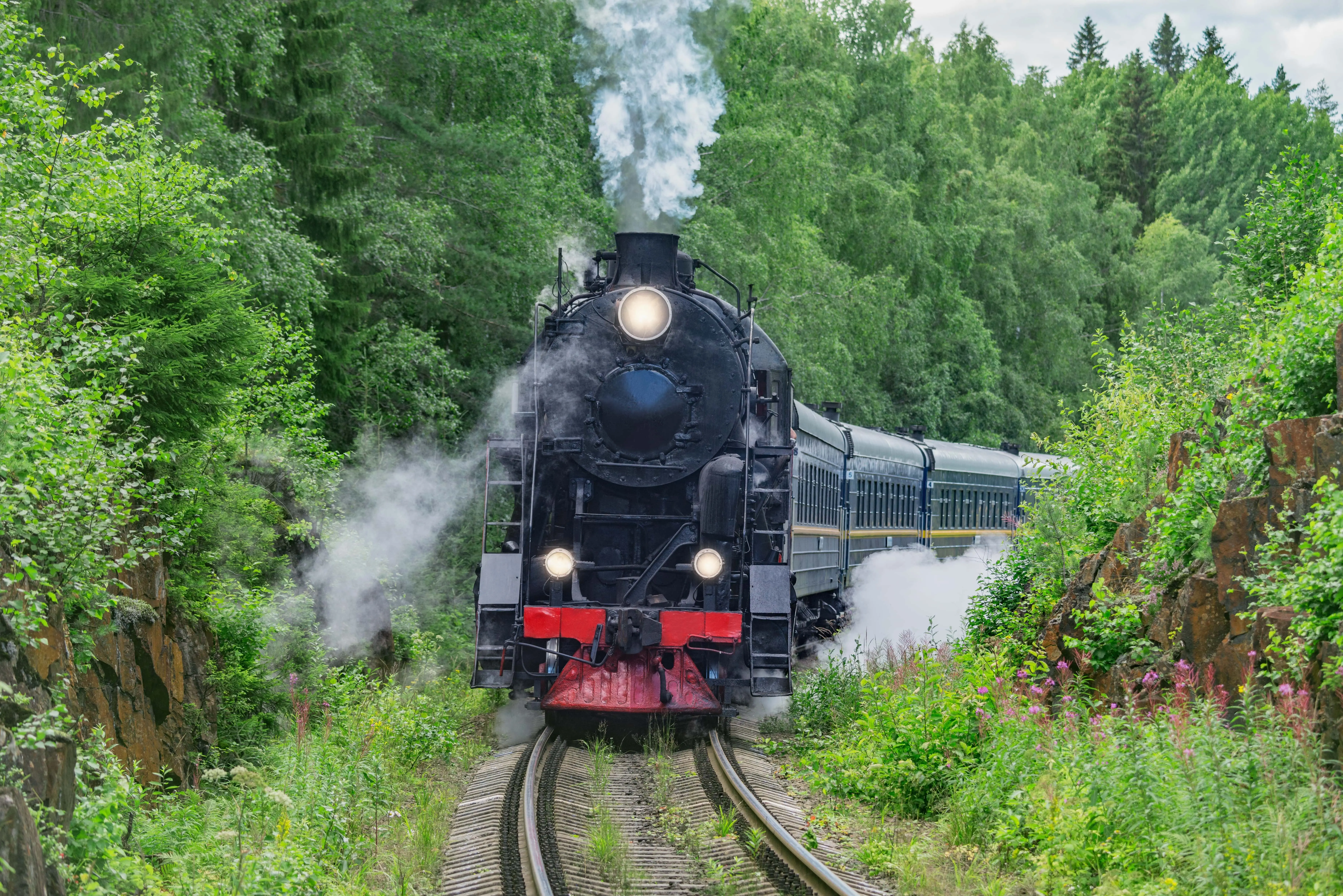 Exploring Type 1 Locomotives