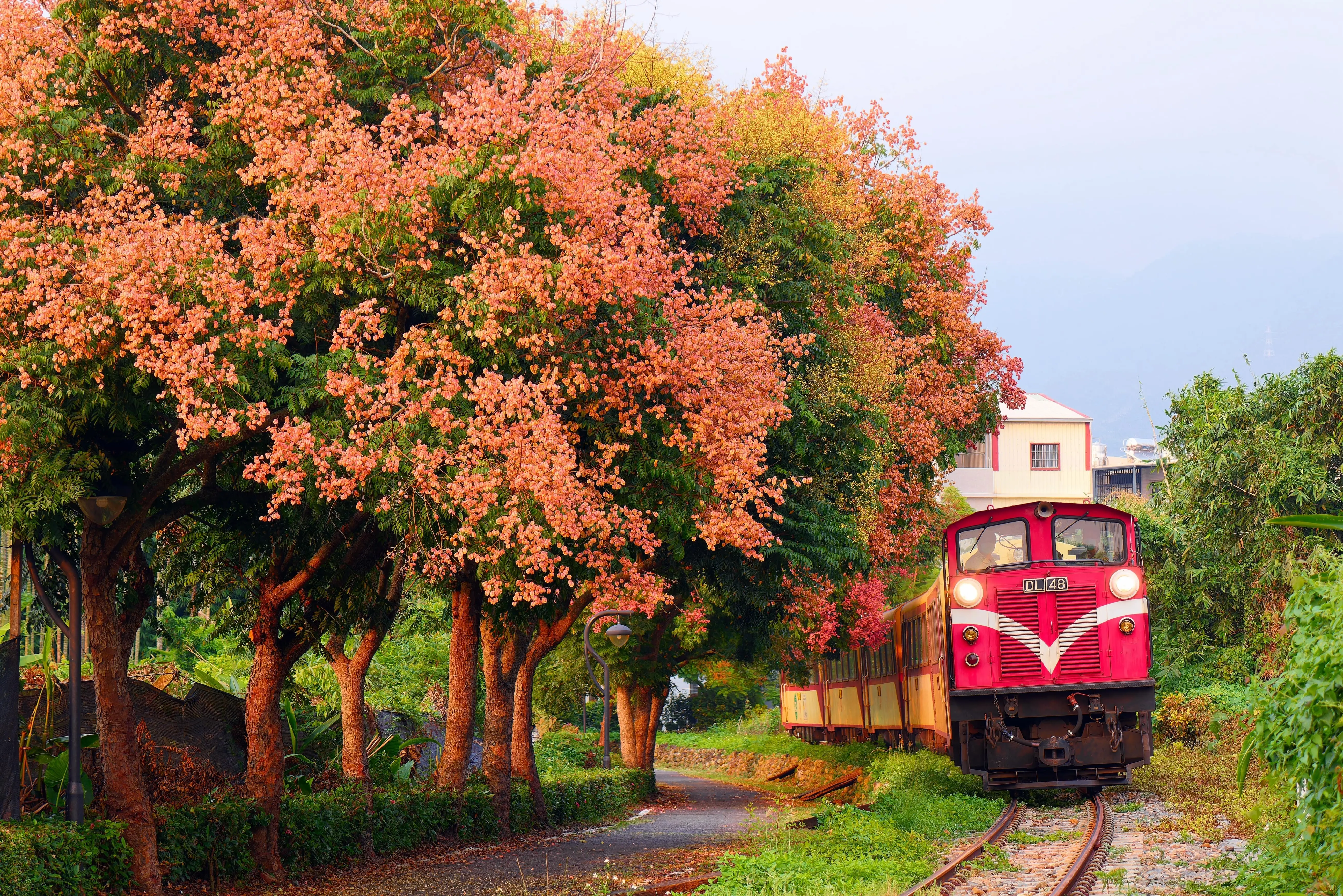 An old diesel locomotive travelling during autumn