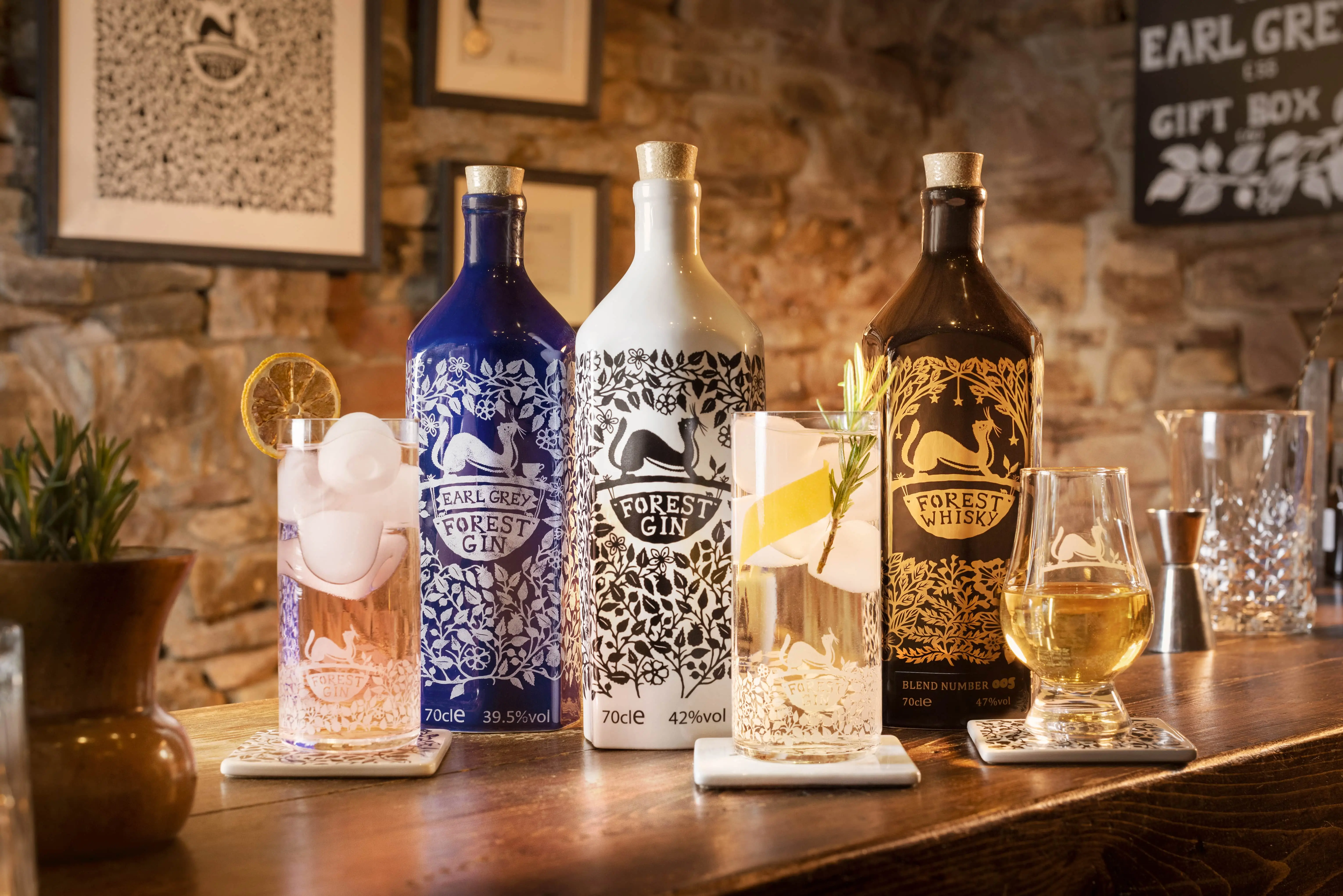 Two bottles of Forest Gin, one blue and one white, alongside a brown bottle of Forest Whiskey, with three glasses placed in front on a surface.